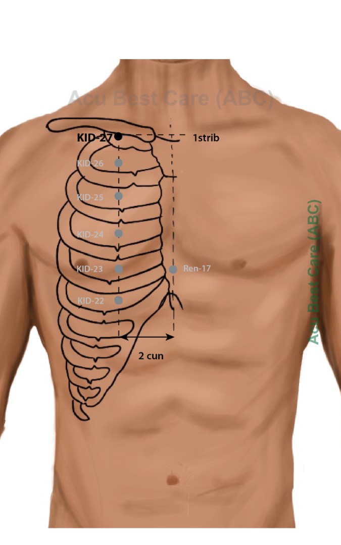 Acubestcare Meridian K-27 or KID-27